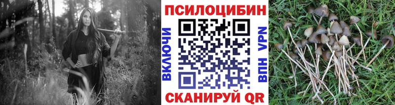 Галлюциногенные грибы Magic Shrooms  как найти   Тбилисская 